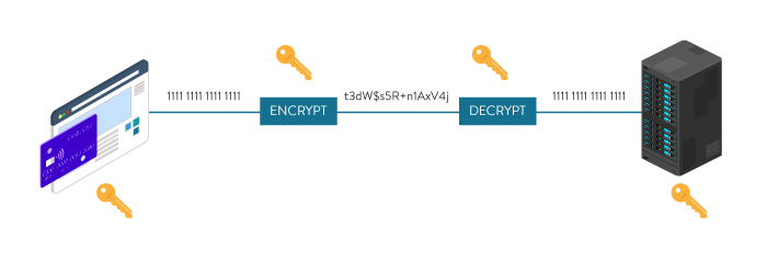 1701222071425099866.png 1.png